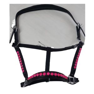 Cabestro para Caballo de Cuero Negro Rub International 7860H, Tamaño Personalizado, con Ribete Rosa Oscuro, Herrajes de Latón, Diseño Acolchado Cómodo - Product Image 1