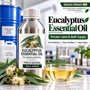 Proveedor de Aceite Natural de Eucalipto Globulus para Fabricantes de Cosméticos, Distribuidores de Aceites Esenciales y Empresas de Comercio Mayorista - Product Image 1