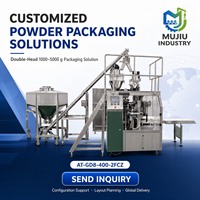 Machine d'emballage de lait en poudre avec pesage et remplissage double tête pour sachets préformés à fermeture éclair de 1 à 5 kg AT-GD8-400-2FCZ
