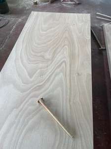 Contreplaqué commercial moderne avec face en bois dur mélangé Bintangor/Okume/Pin, colle E2/E1, pour appartement, design eucalyptus - Product Image 2