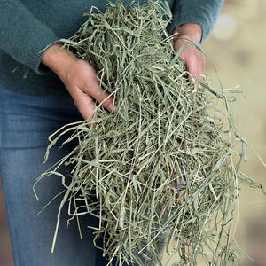 Heno de Timothy en Pellets y Pacas para Alimentación de Caballos, Ganado, Cerdos y Peces - Alta Calidad 500g - Product Image 2