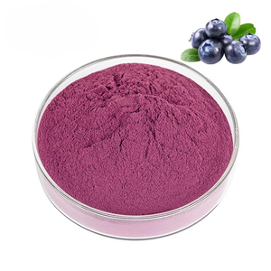 Polvo de Arándanos de Alta Calidad, Polvo de Fruta de Arándanos Puro y Natural para Smoothies, Repostería, Bebidas, Jugos, Té y Recetas Caseras - Product Image 2