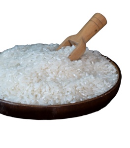 Arroz blanco orgánico de grano medio, nutritivo y de cultivo sostenible, granjas Greenfield, arroz vietnamita de primera calidad, CALIENTE - Product Image 1