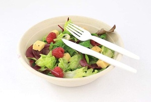 Nouvelle fourchette biodégradable élégante et moderne pour la restauration, les pique-niques, les repas en plein air, les mariages et les anniversaires, 155 mm - Product Image 1