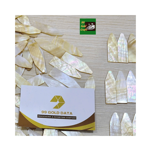 Piezas de Nácar Natural de Alta Calidad, Placas de Concha Blanca Pulida para la Fabricación de Joyas, Pendientes, Collares, Pulseras, Venta al por Mayor - Product Image 4