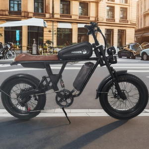 Vélo électrique urbain tout-terrain rétro à vitesse unique, moteur 250W, assistance au pédalage, pneus larges 20 pouces, batterie lithium-ion, électronique - Product Image 6