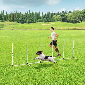 Robusto Set di Pali per Addestramento Cani all'Aperto, Attrezzatura per Velocità e Agilità con Borsa per il Trasporto - Product Image 2