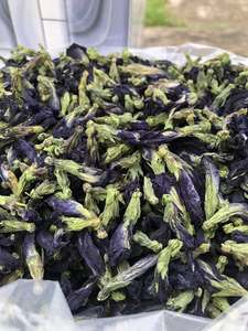 Factory Natural Dried Butterfly Pea Flower Vietnam Manufacturer Export Quality Dried Butterfly Pea Flower For Tea Ingredient - Product Image 3