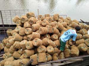 Cuerda de Fibra de Coco de Venta Caliente, Ligera y Resistente para Paisajismo y Control de la Erosión - BLUE LOTUS de Vietnam - Product Image 6