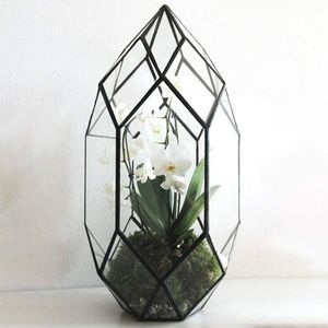 Terrario de Metal y Vidrio Personalizado, Moderno Macetero de Vidrio para Plantas de Interior, Suculentas, Plantas Aéreas y Decoración del Hogar DIY - Product Image 2