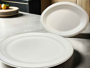 เครื่องทำถ้วยกระดาษ FTD041พร้อมฝาปิดสำหรับเปิดเทอมใหม่ - Product Image 4