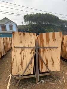 Tableros de Madera Contrachapada de Acacia Ecológicos y Duraderos, Corte Rotatorio, Superficie Lisa, 8-12% de Humedad, Diseño Industrial, Grado para Muebles - Product Image 6