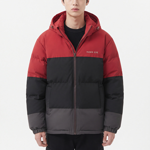 Blouson matelassé à capuche pour homme Hawk Eye, color-block, épais, coupe-vent, décontracté, fermeture éclair - Product Image 5
