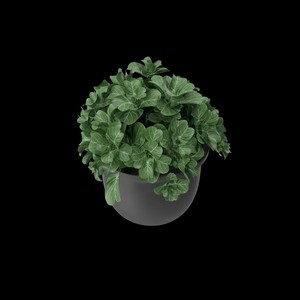 Pot de plante sphérique en métal noir, vente en gros |   Aqdus Saleem Moradabad - Product Image 4