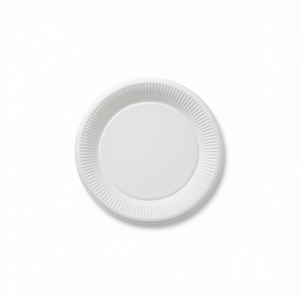 Assiette en papier jetable 14x21 cm - Product Image 1