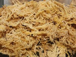 สาหร่ายทะเลแห้งแบบกําหนดเอง EUCHEUMA COTTONII เซมอสไอริชจากเวียดนามเทรซี่ - Product Image 4