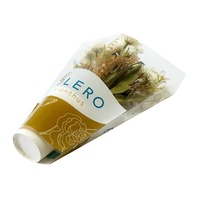 Emballage de fleurs vierges biodégradable, recyclable, hautement transparent, imperméable, sans danger pour les aliments, imprimé avec logo personnalisé en usine