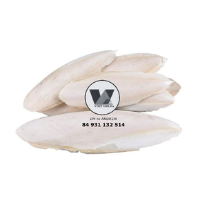 MÁS VENDIDO Hueso de Sepia Sostenible, Entero y Seco, para Recortar el Pico de Aves y Loros, Juguete de Calcio para Mascotas - Product Image 4