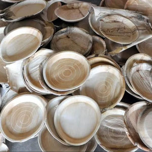 Assiettes carrées de service Premium RR Esculents en palmier d'arec, robustes, compostables, pour aliments chauds/froids, anti-fuite, résistantes à l'huile - Product Image 3