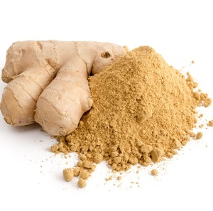 Polvo de Jengibre Secado por Aspersión OEM, Aroma Intenso y Sabor Rico, Grado Alimenticio, para Sazonar, Hornear y la Industria de Bebidas, Suministro a Granel - Product Image 2