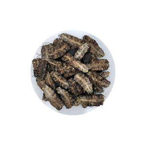 Vietnam Dried Noni Fruit Export Manufacturer Offering Competitive Prices and Consistent Product Quality - Product Image 2