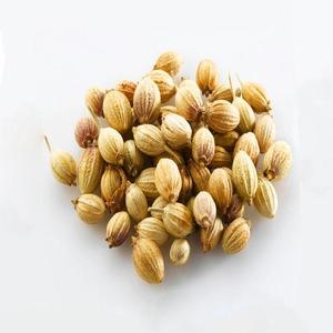 Poudre de coriandre de qualité supérieure, finement moulue, épice naturelle, marque MEGH EXIM, Gujarat, Inde, durée de conservation de 24 mois, meilleur prix - Product Image 1