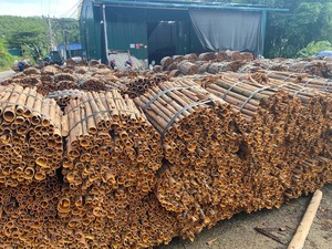 Especias Secas al por Mayor para Exportación: Pimienta de Vietnam Lao Cai, Origen, Especias Individuales, Corte en Rodajas, Conservadas en Aceite, Marca TECHMIFOOD, 10kg, Modelo - Product Image 6