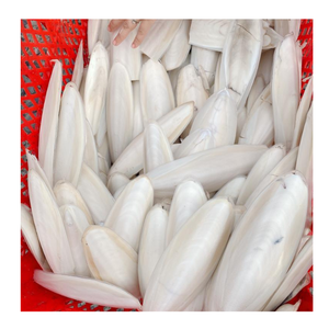 สินค้าขายดี |   กระดูกปลาหมึกทำความสะอาดแล้ว บล็อกแคลเซียมสำหรับนก ใช้สำหรับตัดแต่งปากนก จากบลูโลตัส เวียดนาม - Product Image 1