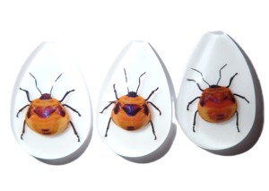 Cabujón de Plástico con Espécimen Real de Insecto Floral, Corte Pera, Parte Superior de 46x30 mm, Base Plana Blanca para Manualidades y Joyería - Product Image 6