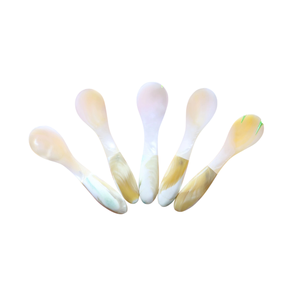 High Quality Mother of Pearl Spoon Fish Flower Long Handle <b>Mirror</b> Polish Custom Logo Engraved Coffee Dessert Storage - Product Image 2