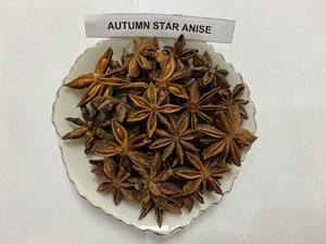 Anís estrellado de Phalco Vietnam Company, flor grande, buen sabor, precio de fábrica, mezcla de especias y hierbas secas, estilo procesado en seco. - Product Image 2