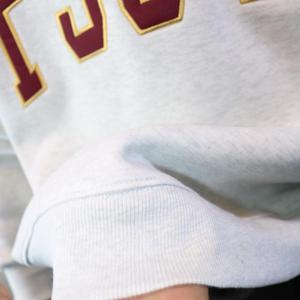 Sudadera FSU LAW con cuello simulado, 450 GSM, nombre personalizado, bordado aplicado, corte holgado, 100% algodón, felpa francesa. - Product Image 5