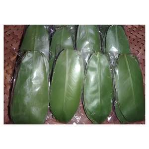 ใบเตยแห้งเวียดนามสำหรับตลาดพฤกษศาสตร์ขายส่ง - Product Image 4