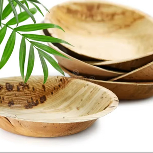 Assiettes écologiques en feuilles d'arec, vaisselle jetable biodégradable en feuilles de palmier pour fêtes, mariages et traiteurs - Product Image 1