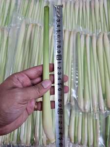Natural Frozen <b>Lemongrass</b> Stalks Fresh Aromatic Premium Quality Bulk Supply - Product Image 6