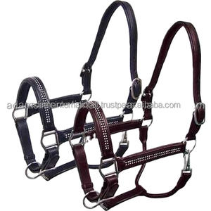 Cabestro de cuero personalizado de alta calidad con nombre, fabricante mayorista - Product Image 2