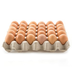 Venta Directa de Granja en los Países Bajos de Huevos de Gallina Orgánicos Marrones / Huevos de Pollo de Engorde en Venta / Proveedor de Huevos de Gallina de Granja - Product Image 3