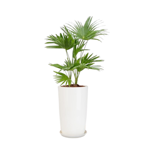 Pots de fleurs d'extérieur en plastique avec trous de drainage, pots décoratifs pour plantes d'intérieur, ensembles de conteneurs de jardin durables pour plantes d'intérieur - Product Image 3
