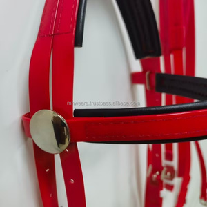 Brida de Cuero Premium para Caballo con Riendas Ajustables, Mordaza y Frontal Acolchado para Entrenamiento y Exhibición - Product Image 6