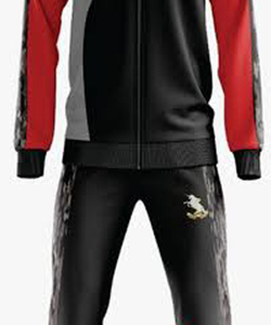 <b>Custom</b> OEM Performance Training Tracksuit Sublimation Print Sport Suit With Personalized Logo Design For Athletic Team Wear Pro - Product Image 6