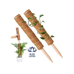Poste de Musgo de Coco Ecológico en OFERTA |   Loto Azul Ben Tre |   Soporte para Plantas Simple, Moderno, Natural y Hecho a Mano para Jardinería - Product Image 2