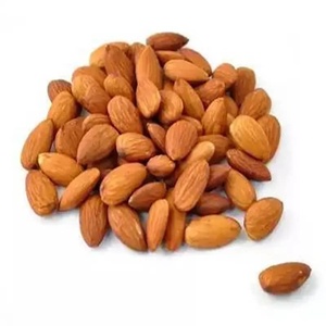 Almendras Orgánicas Secas Crudas Marca TZ879DTH, Suministro a Granel para Procesamiento de Alimentos, Grado Alimenticio, Bocadillo, 12 Meses de Vida Útil - Product Image 2