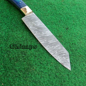 Cuchillo de Chef Profesional de 8 Pulgadas, Ultra Afilado, Tipo Kiritsuke, Ecológico, con Hoja de Acero de Damasco y Mango de Madera - Product Image 4