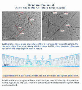 Shampooing hydratant Advanced Therapy pour tous les types de cheveux pour prévenir la perte de cheveux - Product Image 6