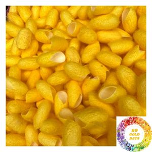 Capullos de Seda de Morera Premium, Materia Prima de Seda Natural para la Fabricación Textil y Suministro de Hilos de Seda - Product Image 5