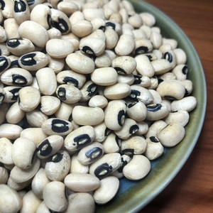 Haricots blancs à yeux noirs de qualité supérieure, de pureté élevée, naturels et purs - Product Image 3