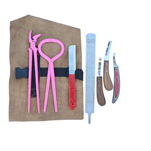 Kit d'outils de fermeur pour le soin des sabots : Testeur de sabots, Râpe, Poinçon, Lame double face à manche en bois, Lame étroite et Couteau à boucle - Product Image 1