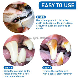 Manual Dental <b>Tooth</b> Scaler Scraper Double Headed Stainless Steel Tartar Removing <b>Tool</b> Professional Pet <b>Teeth</b> <b>Cleaning</b> Instrument - Product Image 4