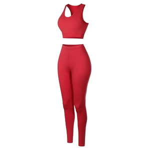 Fournisseur en gros propose des ensembles de yoga 2 pièces de haute qualité pour femmes avec logo personnalisé et service professionnel. - Product Image 2