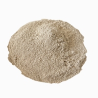 Poudre de champignons Maitake broyée pour boisson santé